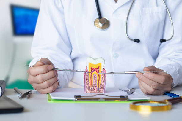Best After-Hours Emergency Dentist in Nicholson, GA